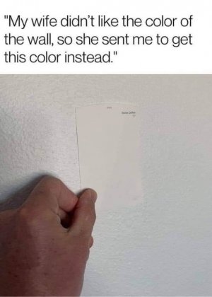 IMG_6201.jpeg