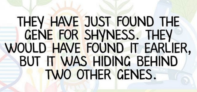 shyness.jpg