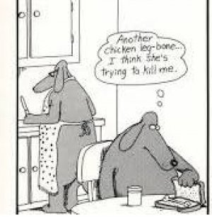 FARSIDE.jpg