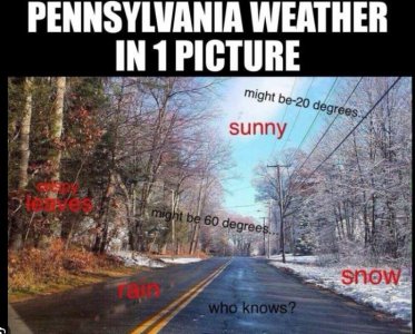 penn.JPG