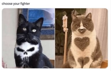 nfer.JPG