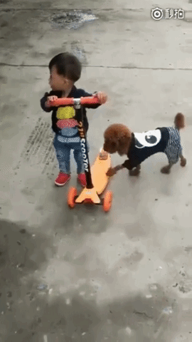 fylO.gif