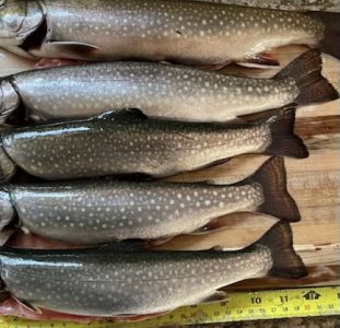 IMG_2024.jpeg IMG_2024.jpeg