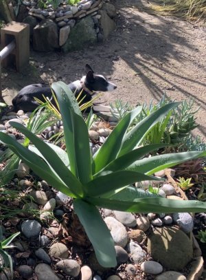 1705331065732.jpeg