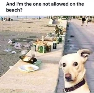 not allowed.jpg