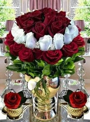 FB_IMG_1705058377297.jpg