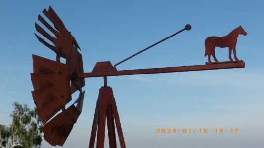 IMGP1460.JPG