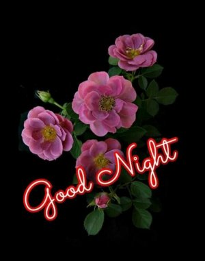 Good Night Images For Whatsapp 2023, Free Download HD Wallpaper, Pictures, Photos Of Good Night.jpeg