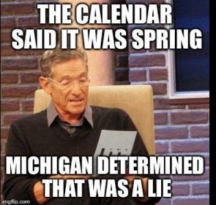 michigan.JPG
