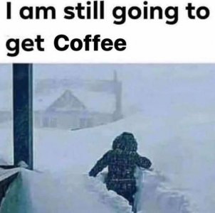 0d.jpg