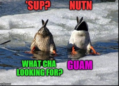 guam.jpg