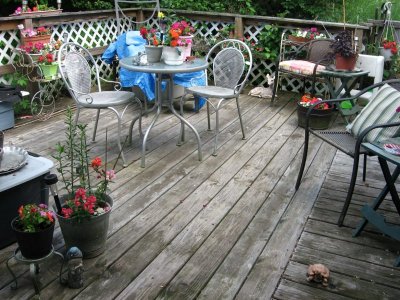 Deck summer 2021.JPG