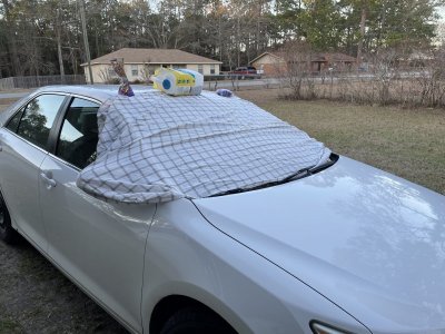 IMG_1052.jpeg IMG_1052.jpeg