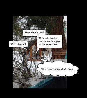 larry.jpg