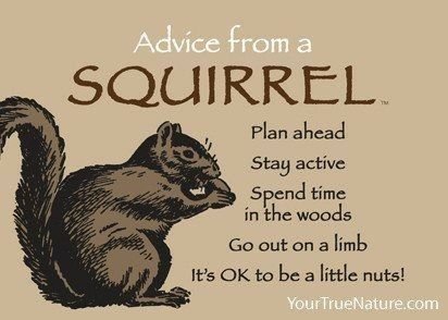 e45fe233df055cdc86db6f30f501e58a[1].jpg