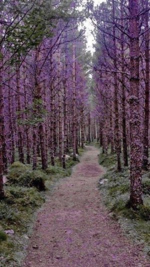 tumblr_77a54ab7ea93c9a36758ff1c9af2f9df_5331fc9a_500.jpg