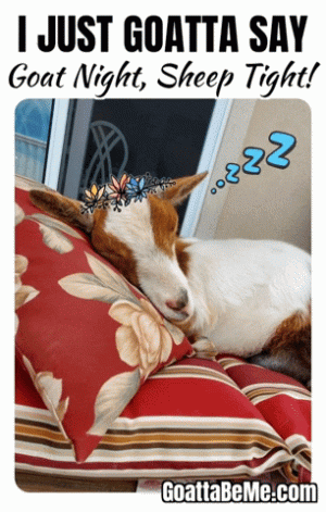 received_1333836643947627.gif