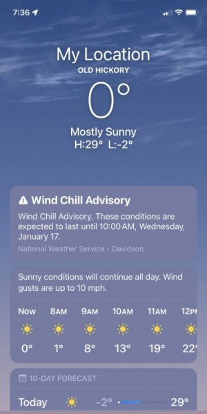 IMG_1700.jpeg IMG_1700.jpeg