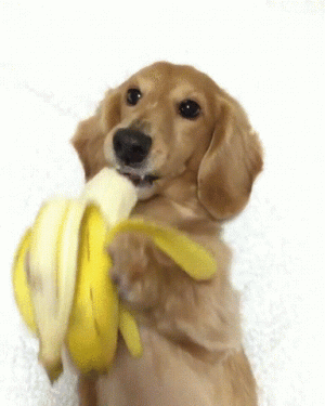qGc.gif