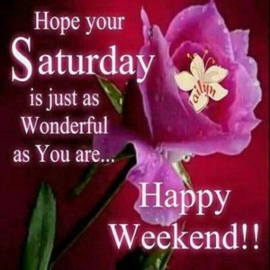 FB_IMG_1704595144070.jpg