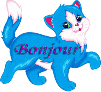 Bonjour SC.gif