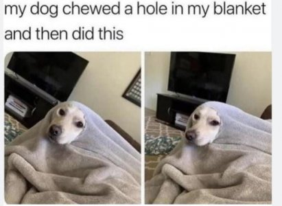 cwqef.JPG