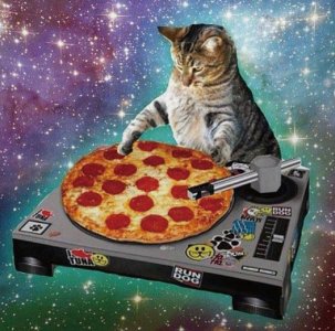 kitty-pizza.jpg