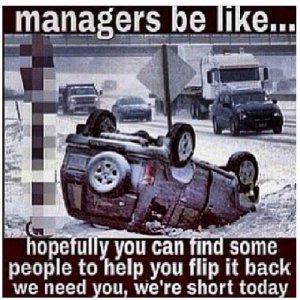 IMG_6311.jpeg