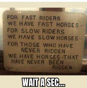 416296377_890483289743970_4300882945476691655_n.jpg