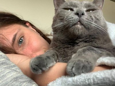 cattitude aa cat.jpg