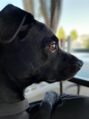 20190930_173452.jpg