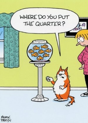thequarter.jpg