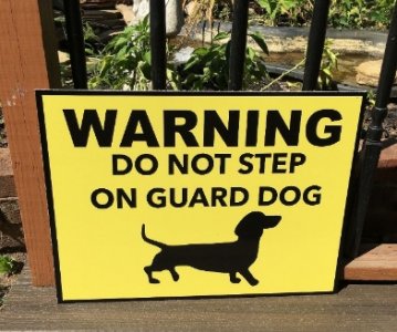 guarddog.jpg