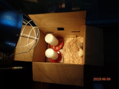 DSC01163.JPG