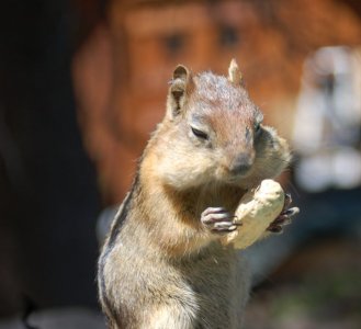 hello my little morsel.jpg