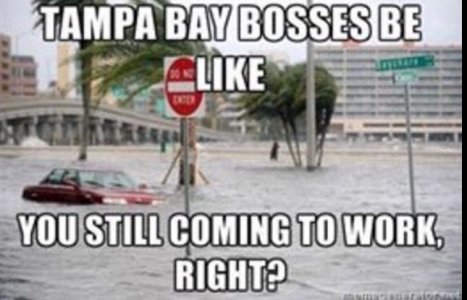 tampa.jpg
