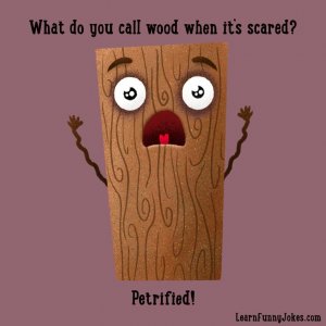 petrified.jpg