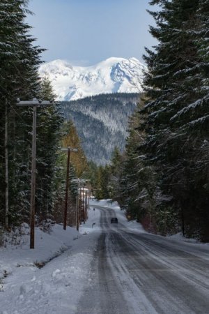 Rainier24.jpg