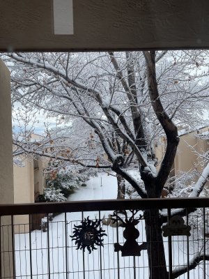 IMG_0506.jpeg