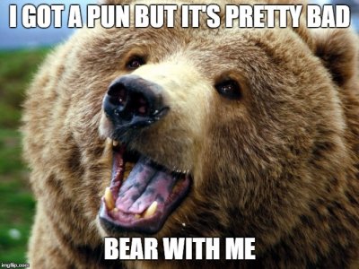 bearwithme.jpg