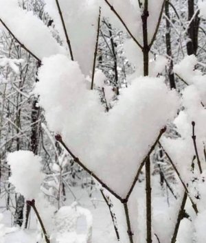 tumblr_adf2e8d929f8281a385774dc80ab5602_357f0465_1280.jpg