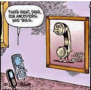 FB_IMG_1705972428712.jpg