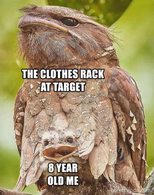 hidinginclothesrack.jpg