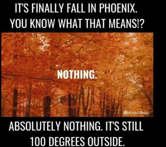 phoenix.jpg