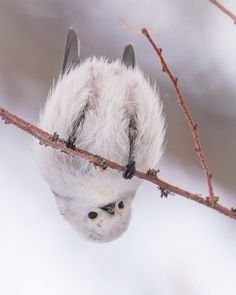 different perspective.jpg