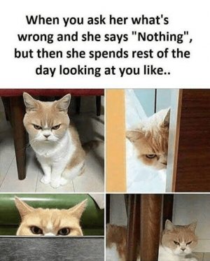 Nothing.jpeg