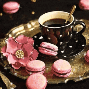 56fa90b9437feca69f123c1f55a0c323.gif