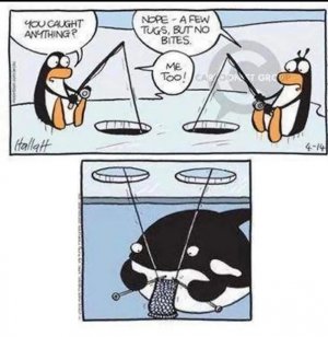nofish.jpg