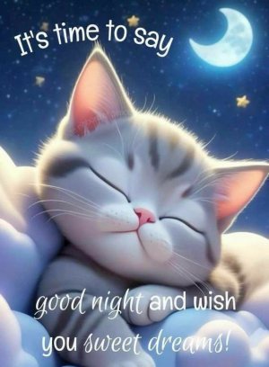 a3600053fe72be67a906855f5517ef01[1].jpg