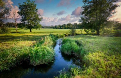 field-stream.jpg